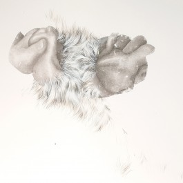 fur