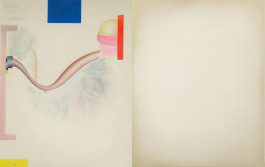 ENA OPPENHEIMER